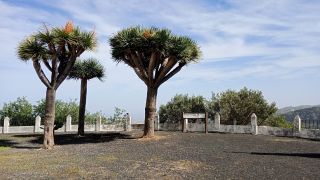 GC-Mirador El Helechal 2026-29.jpg